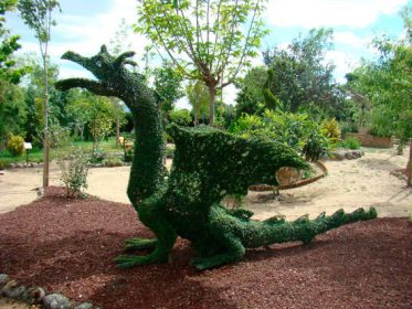 Visita al “Bosque Encantado” Imagen de la noticia Visita al “Bosque Encantado”
