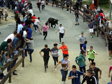 Corriendo en puntas Imagen de la noticia Corriendo en puntas