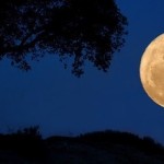 Imagen de la noticia Viernes de Luna Llena o Luna Azul