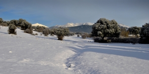 Imagen de la noticia Aprobado el Plan de Inclemencias Invernales