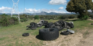 Imagen de la noticia Operación de Limpieza en la Dehesa: recogida de neumáticos