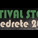 Imagen de la noticia Programación de Festival Stone