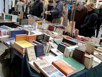 Imagen de la noticia Feria del Libro de Alpedrete 2016