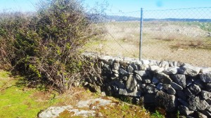 Valla de piedra en el Cerro Cañal