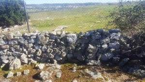 Valla de piedra en el Cerro Cañal