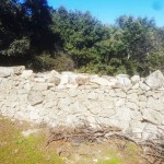 Valla de piedra en el Cerro Cañal