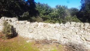 Valla de piedra en el Cerro Cañal