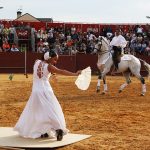 Imagen de la noticia Humanos y caballos al mismo son