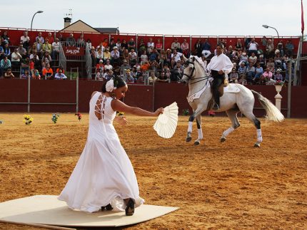 Imagen de la noticia Humanos y caballos al mismo son