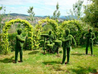 Imagen de la noticia Visita al “Bosque Encantado”