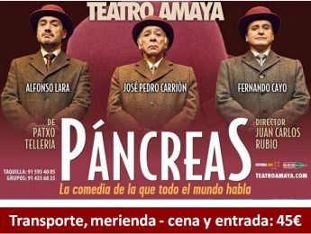 Imagen de la noticia Salida Cultural: Páncreas, la comedia de la que todo el mundo habla