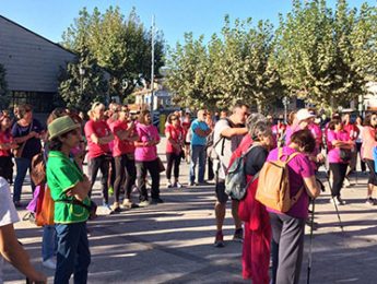 Imagen de la noticia La Marcha Rosa contra el cáncer de mama ha recaudado 1.379,95 euros