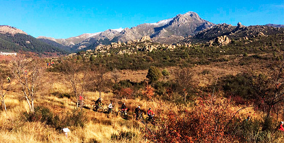 Imagen de la noticia 256 ciclistas han participado en Caminos de la Sierra