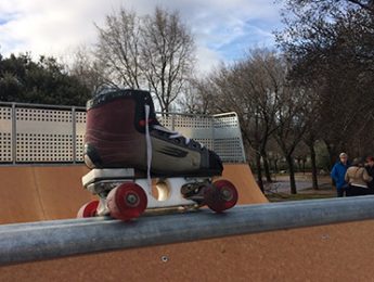 Imagen de la noticia Inaugurada la pista de skate