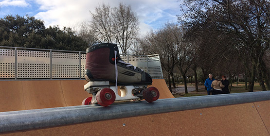 Imagen de la noticia Inaugurada la pista de skate