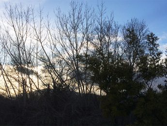 Imagen de la noticia Alerta por viento de hasta 80 km/h