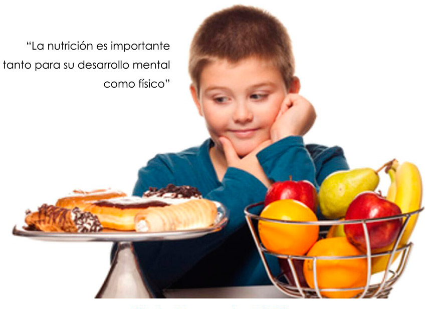 Imagen de la noticia Nutrición infantil, clave del desarrollo físico y mental