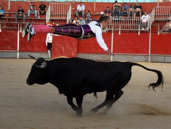 Imagen de la noticia Concurso de recortadores