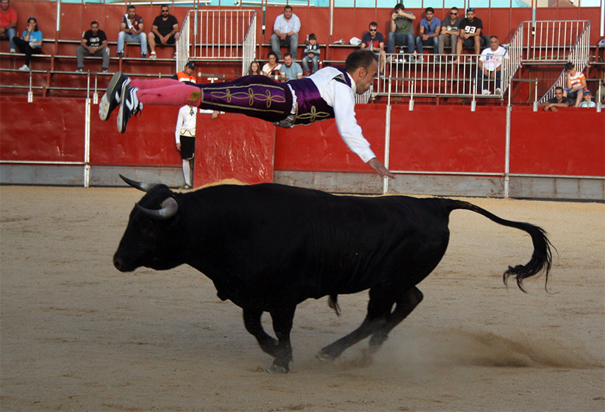 Imagen de la noticia Concurso de recortadores