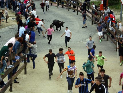 Imagen de la noticia Corriendo en puntas