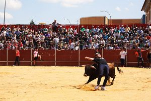 RECORTE DE TORO