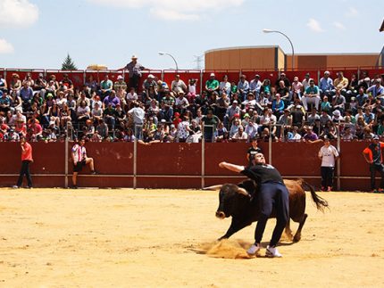 RECORTE DE TORO