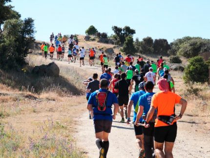 Imagen de la noticia IV Carrera solidaria