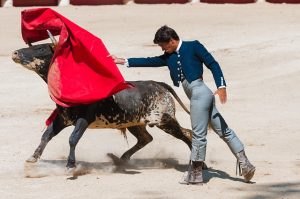 torero y toro