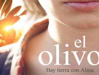 Imagen de la noticia Cine de verano. El Olivo