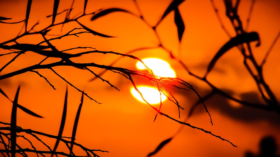 Imagen de la noticia Activado el nivel de alto riesgo por ola de calor