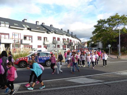 Imagen de la noticia La marcha por el cáncer de mama en imágenes