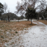 Imagen de la noticia Fuertes vientos y descenso de las temperaturas