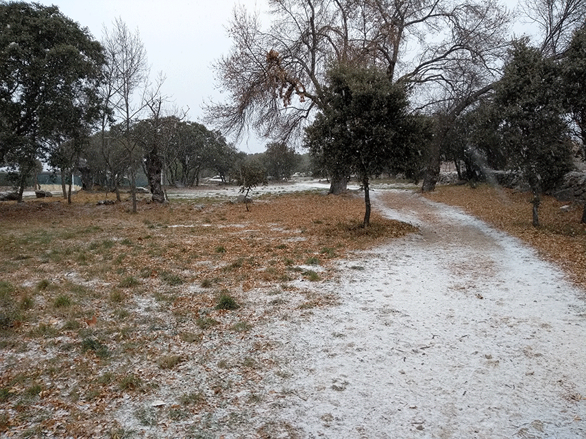 Imagen de la noticia Fuertes vientos y descenso de las temperaturas