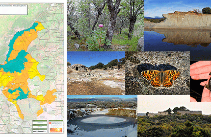 Imagen de la noticia Alpedrete candidato a la Reserva de la Biosfera