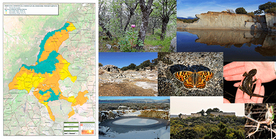 Imagen de la noticia Alpedrete candidato a la Reserva de la Biosfera