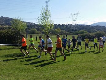 Imagen de la noticia VI Seremercross de Alpedrete