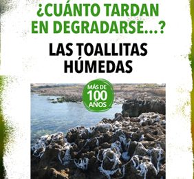 Imagen de la noticia Las toallitas tardan más de 100 años en degradarse