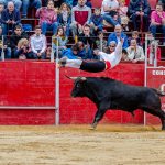 Imagen de la noticia Tarde de recortes