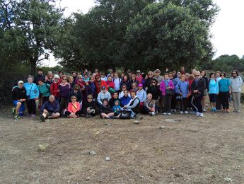 Imagen de la noticia Mayores de Alpedrete: Haciendo camino