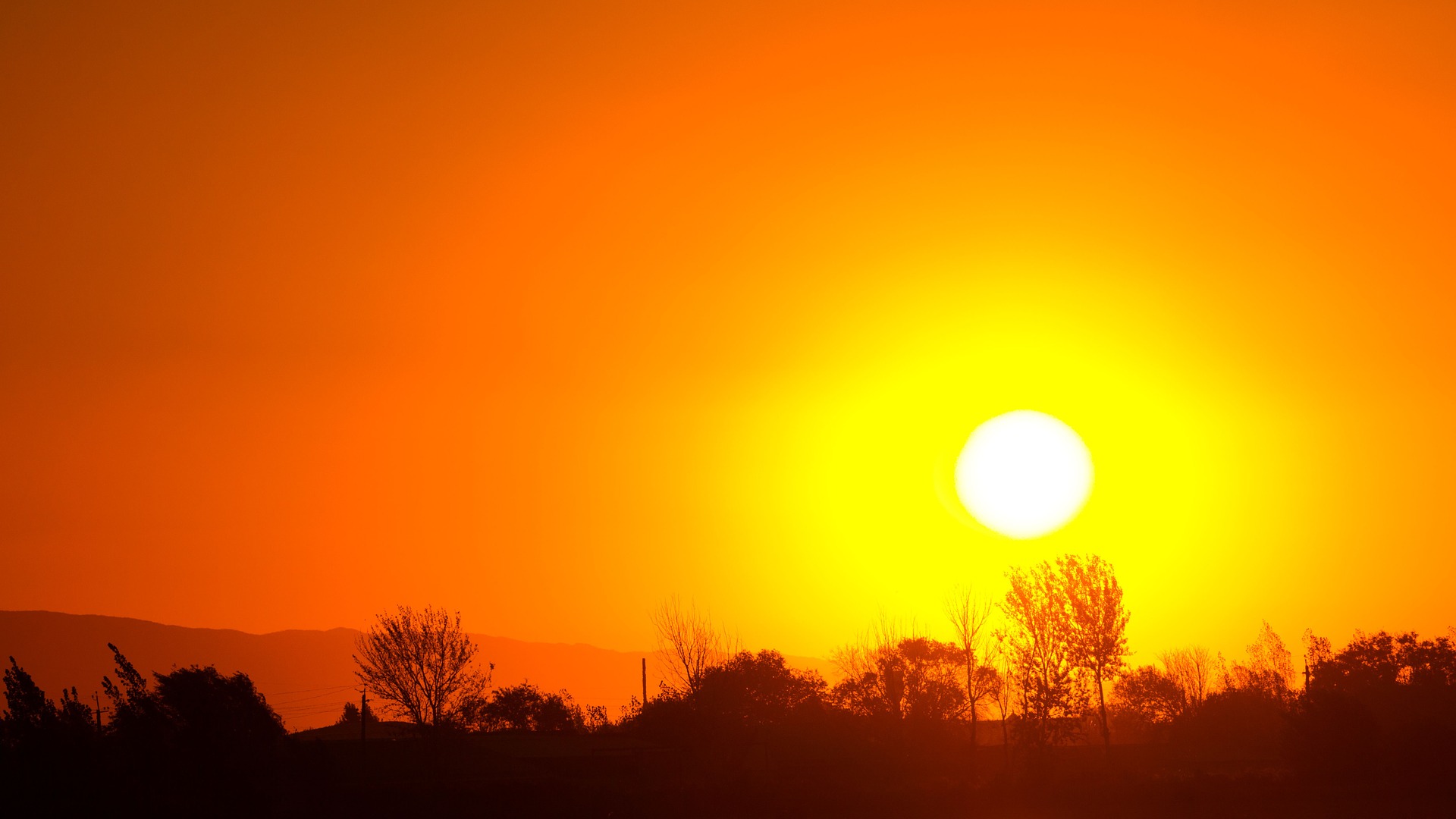 Imagen de la noticia Alerta por altas temperaturas