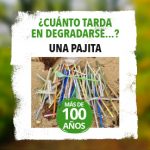 Imagen de la noticia 1 pajita tarda en degradarse más de 100 años