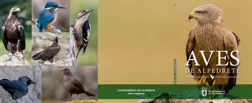 Imagen de la noticia El Día de las Aves descubre el centenar de especies que existen en Alpedrete