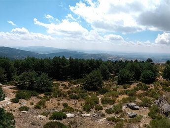 Imagen de la noticia Taller sobre turismo sostenible en la Sierra de Guadarrama