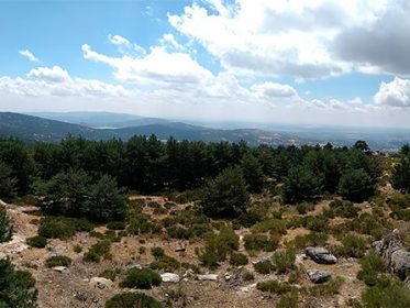 Taller sobre turismo sostenible en la Sierra de Guadarrama Imagen de la noticia Taller sobre turismo sostenible en la Sierra de Guadarrama
