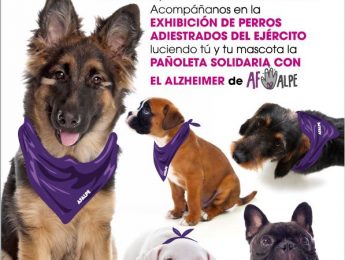 Imagen de la noticia Exhibición canina en favor del AFALPE