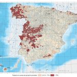 Imagen de la noticia Mesa redonda sobre el gas radón