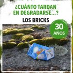 Imagen de la noticia Los bricks tardan 30 años en degradarse