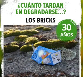 Imagen de la noticia Los bricks tardan 30 años en degradarse