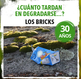 Imagen de la noticia Los bricks tardan 30 años en degradarse