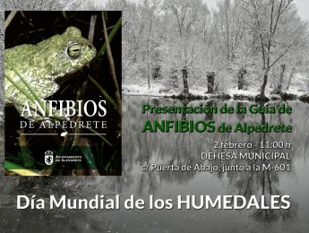 Imagen de la noticia Día Mundial de los Humedales